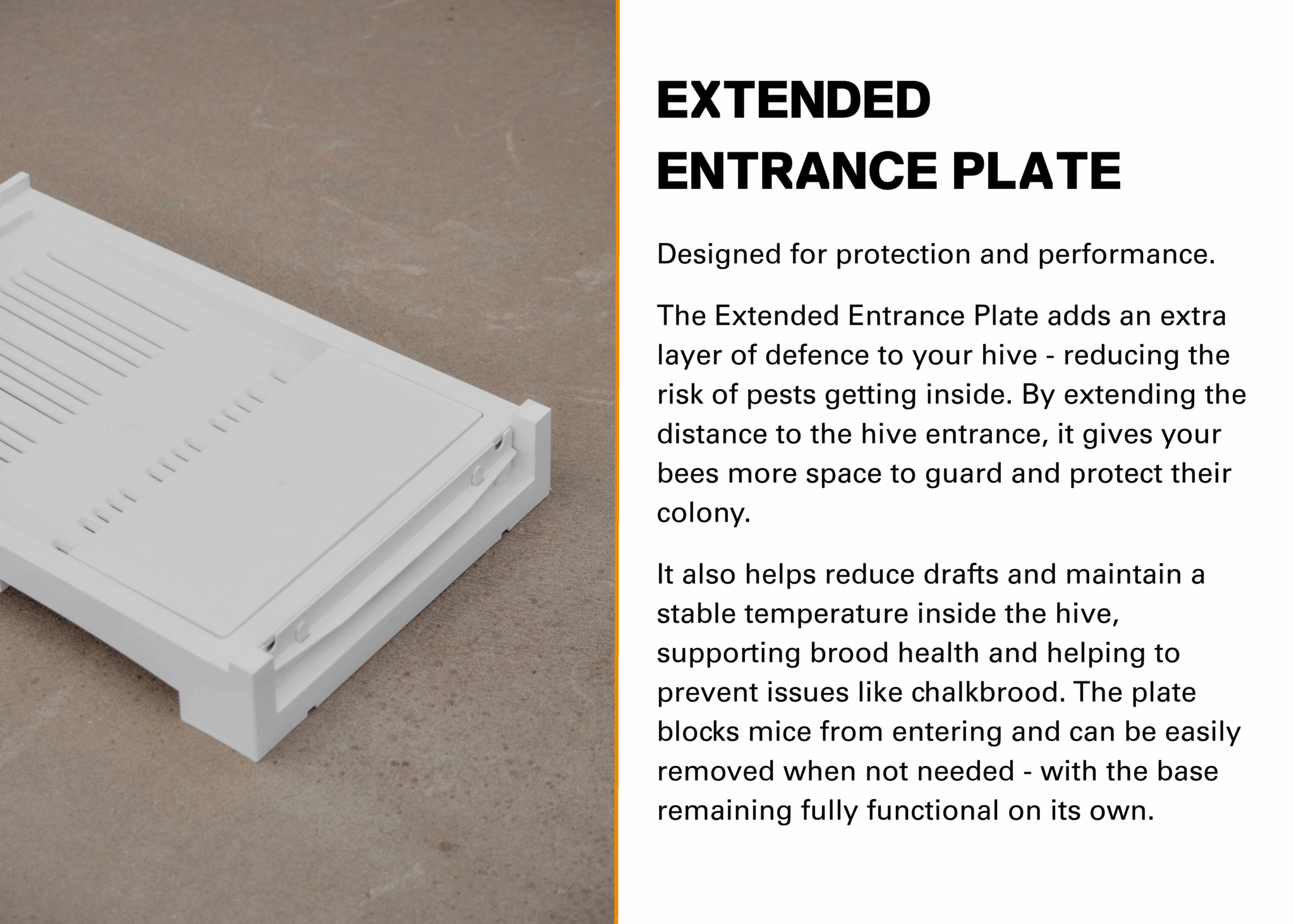 nexG 8 Frame  Standard Base