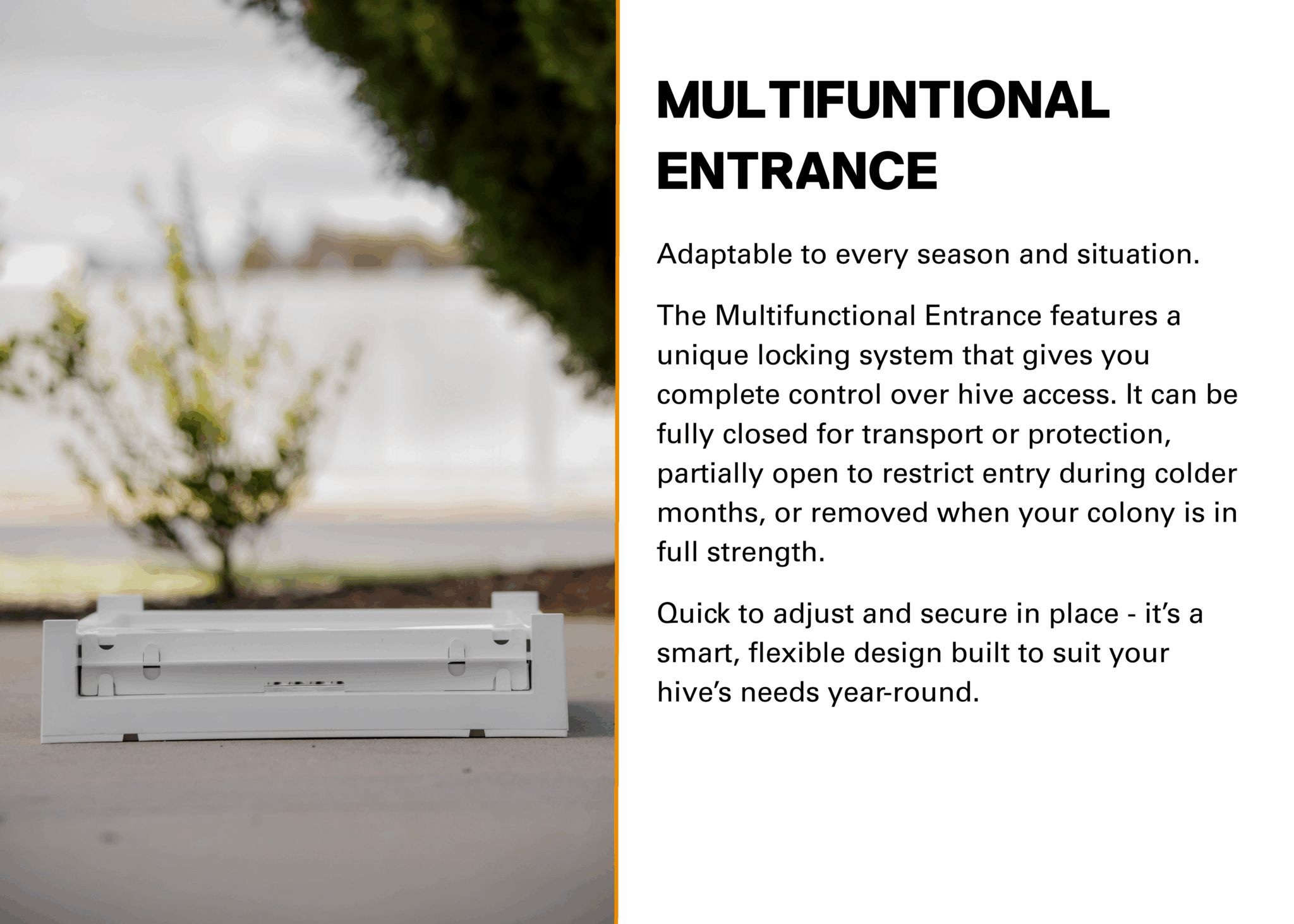 nexG 8 Frame  Standard Base