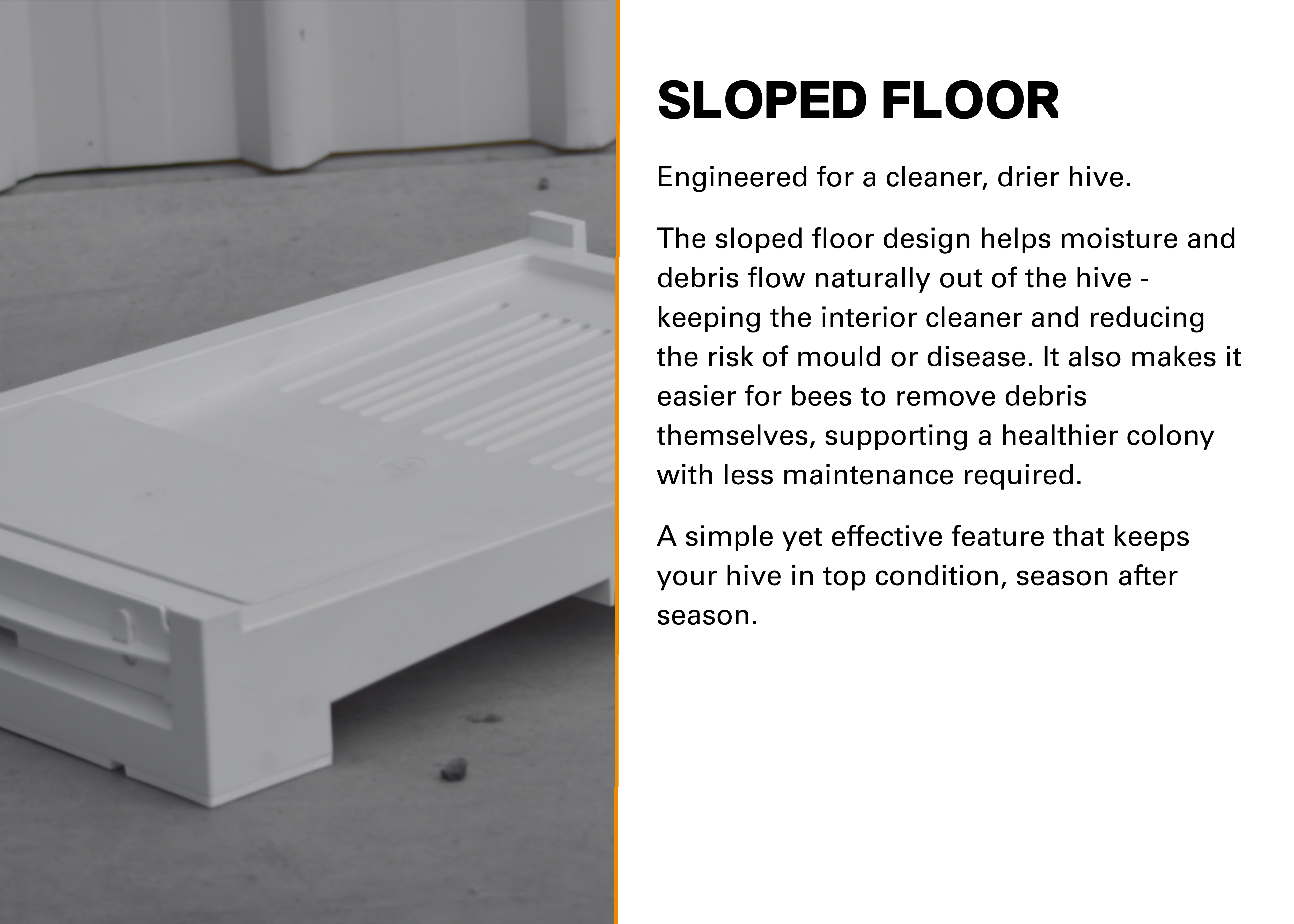 nexG 8 Frame  Standard Base